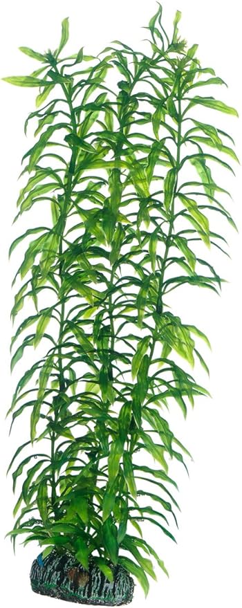 Hobby 51567 Heteranthera, 34 cm