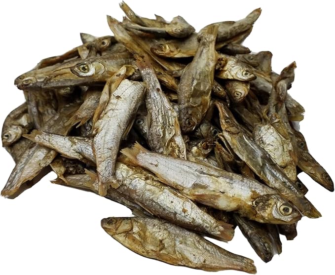 3"- 5" Fresh Water Freeze Dried Fish for Piranha, Large Fish, Turtles, Cats, Sugar Glider, Marmosets, Chinchillas, Squirrels, Hamsters…1-lb & 12oz Lg Jar