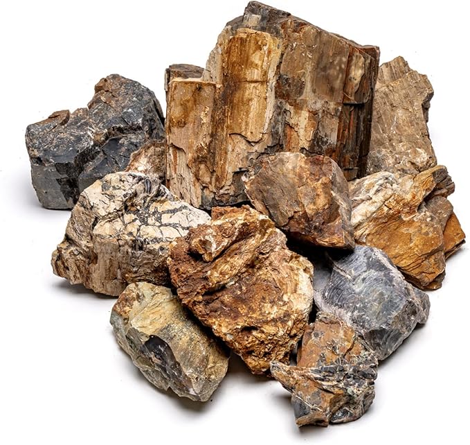 SubstrateSource Natural Stone for Aquarium, Terrarium, Paludarium, Reptile Enclosures - Set of Decorative Rocks for Landcapes, Aquascaping, Fish Tank Decor (Petrified Wood Stone, 20 Pounds, 2-7")