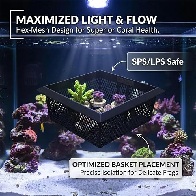 Floating Coral Basket for Reef Tanks (4x6 inch), Anemone and Frag Isolator Cup Mount, Saltwater Aquarium Safe