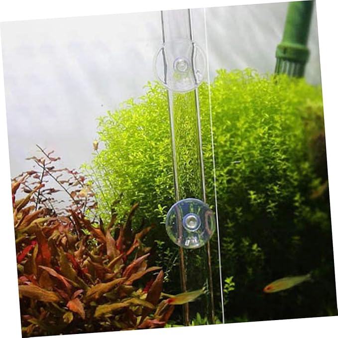 BESPORTBLE 1set Acrylic Fish and Shrimp Feeder Plate Easy Installation for Aquariums Diameter Height Safe for Fish Tanks