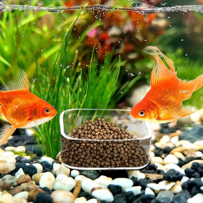 WEAVERBIRD Aquarium Shrimp Feeder Dish Fish Tank Feeding Bowls Glass Square Clear Dish Tray Plate
