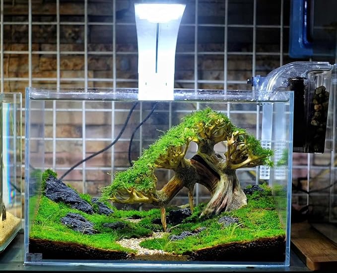 Bonsai Driftwood Aquarium Tree on Lava Rocks for Aquarium Decor Fish Tank Decorations (8in H x 10in L x 5in W) Handcrafted Natural Fish Tank Decor, Balances pH,Tds