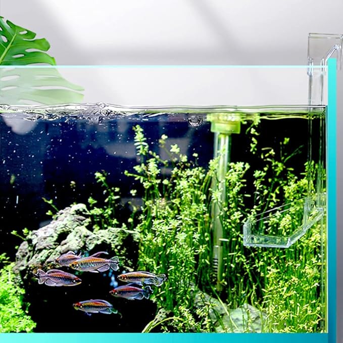 Shrimp Fish Feeding Dish, Aquarium -Sky Restaurant- Betta Feeding - Prevent Food Spilling, Fish Feeder, Also Easy to Clean Up The Food Left Over, African Feeding, Dwarf Frogs Feeding (L)