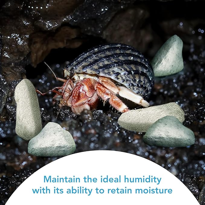 JOR 2 oz Hermit Crab Rocks, Natural Calcium Stones for Shrimp Tank Kit, Crab Decor Accessory, Rock Source for Crabs, Snails & Shrimp, Suitable for Marine Tanks, Freshwater Use & Terrarium Habitats