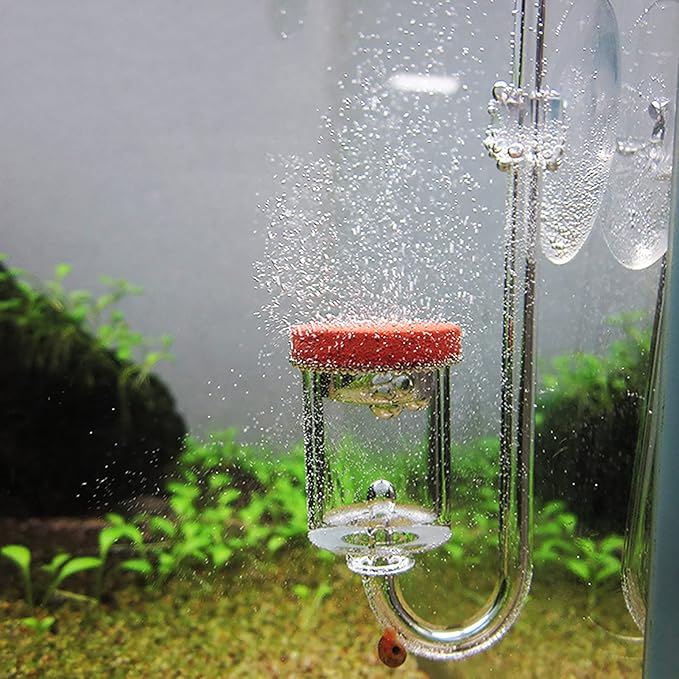 Acrylic Aquarium CO2 Atomizer Diffuser, High Dissolution Rate, Bubble Counter Refiner, with Nano MBKT Technology, for Aquarium Aquatic Plants (M)