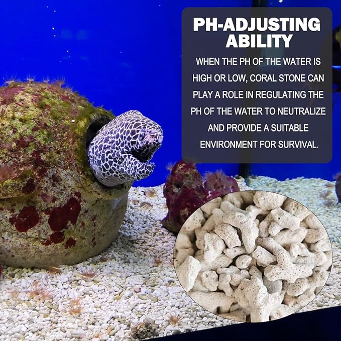500g Coral Stone Fish Tank Filter Material Fish Tank Filter Media Decoration for Fresh Water