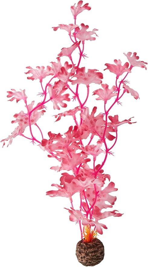 BiOrb 46082.0 Kelp Set Medium Pink Aquariums