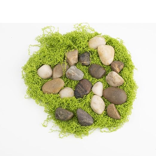 Stone