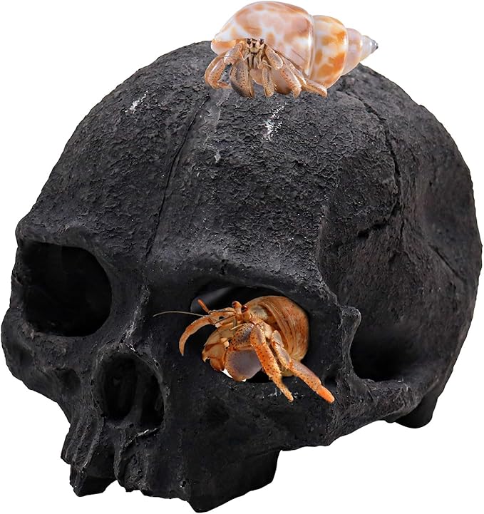 Oooct Resin Skull Sculpture, Black, Reptile Hideout for Fish, Bearded Dragon, Ball Python, Leopard Gecko, 4.7 x 3.5 x 3.7 Inch