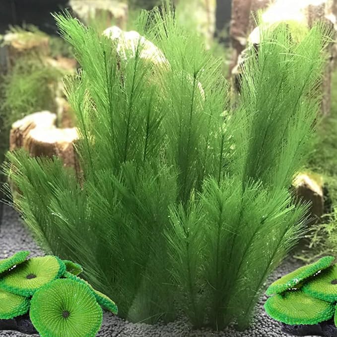 Fake Coral,Artificial Coral Fake Fish Tank Landscape Coral Aquarium Plants Ornament Decoration Green, Style 1