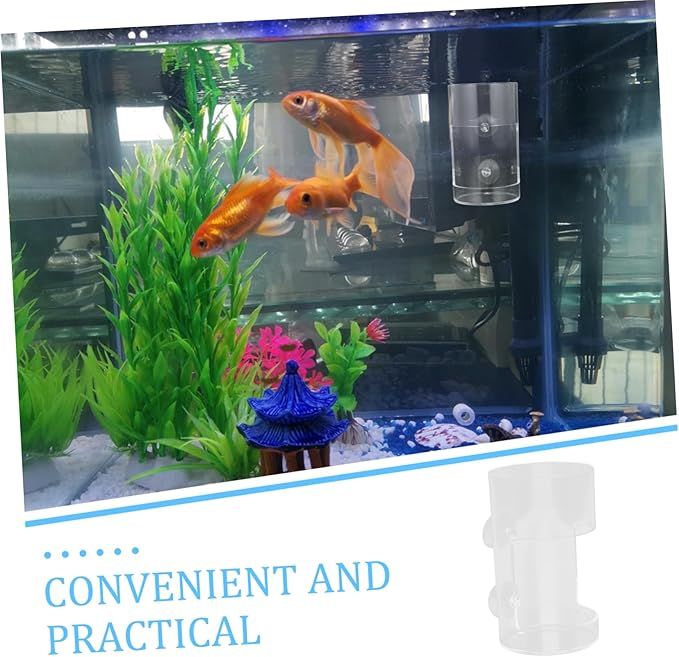 Acrylic Fish Feeder for Aquarium Automatic Feeding Tool Strong Cup Multi-Purpose Shrimp and Fish Feeding Bowl Clear Design for Easy Use