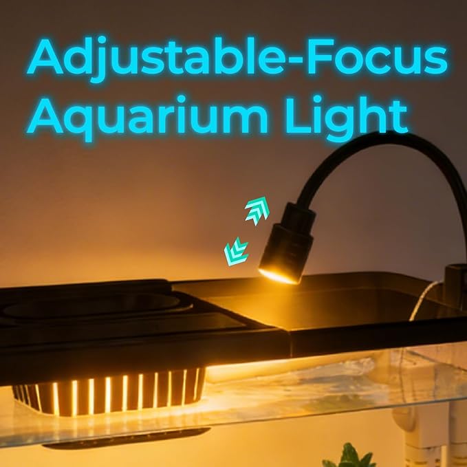 4 Gallon Fish Tank Aquarium Starter Kit with Filter and Light, All in One Small Fish Tank for Betta, Kids & Desktop Use, Self Cleaning Nano Aquarium with Lid(Medium Black)
