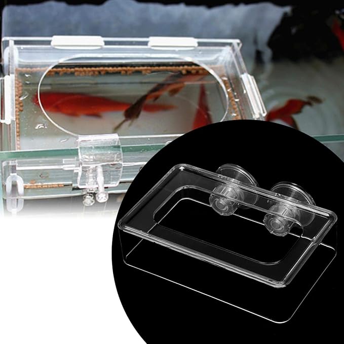Aquarium Fish Feeding, Acrylic Floating Food Feeder with Suction Cup for Betta Goldfish Guppy, Prevent Food Scattering and Filter Clogging, 2 Sizes