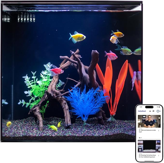 HelloReef 15 Gallon Glofish Complete Freshwater Aquarium Kit with App Controlled Smart LED Lighting, Filtration, Glofish Decor, and Guided Online Learning Center