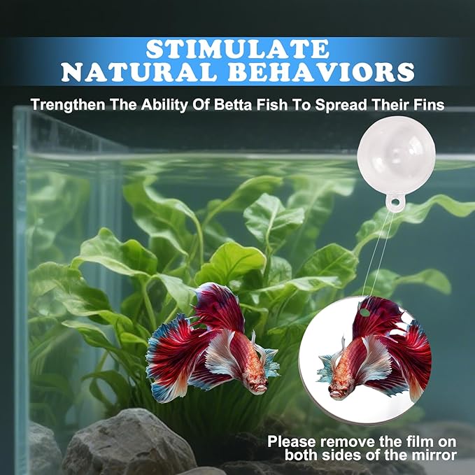 Betta Fish Toys, 2 PCS Fish Exercise Ring and Nitrifying Balls Set, Betta Mirror Toy Set, Feeding Ring with Suction Cup, Fishing Tank Accessories for Gifts (White)