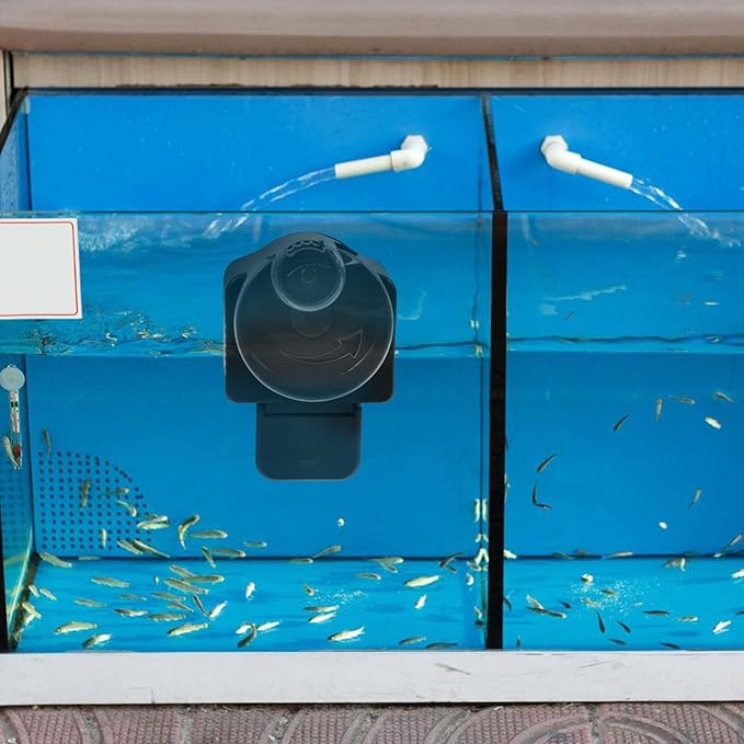 COLLBATH Aquarium Timing Feeder Automatic Fish Food Dispenser Rotation Feeding Tool for Fish Tanks Safe Lightweight Design