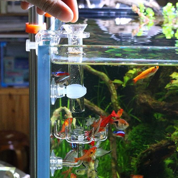 Aquarium Shrimp Small Fish Feeding Dish and Feeding Tube kit, Including Glass Feeder Tube Acrylic Feeder Dish and Holder, 3 Lengths Optional, 7.8 Inches, 11 Inches, 13.7 Inches (S-7.8 Inches)
