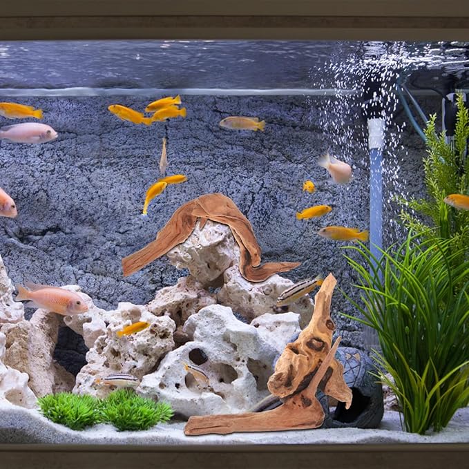 Toddmomy Aquarium Driftwood 4Pc Set 7.48In Natural Fish Tank Wood Decor for Freshwater Aquascaping Fish Cave and Hiding Spots