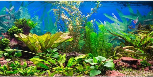 AWERT 30x18 inches Aquarium Background Aquatic Plant River Bed & Lake Fish Tank Background Vinyl