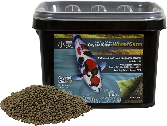 CrystalClear WheatGerm Fish Food—Protein-Rich Floating Pellets for Cold Freshwater Ponds, Ideal in Cooler Spring & Fall Seasons - 2.2 Pound Bucket
