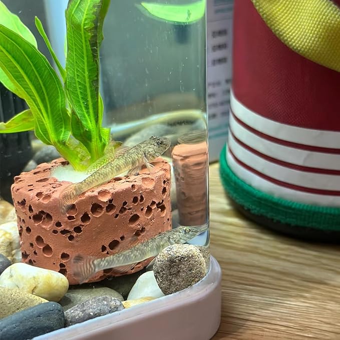 Rainmae 16 Pcs Aquatic Water Plant Fixed Rings, Water Plants Cultivation Fixed Ring Aquatic Water Plant Fixed Ring Ceramic Plant Pot, Landscape Ceramic Pottery Gravity Ring for Fish Tank Accessories