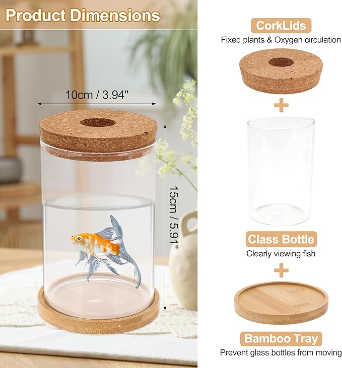 Fish Tank Desktop Hydroponic Propagation, Fish Bowl Indoor Aquatic Garden Set for Home, Office, or Dorm Decor, 3.94"x5.91", Clear, 1 Set