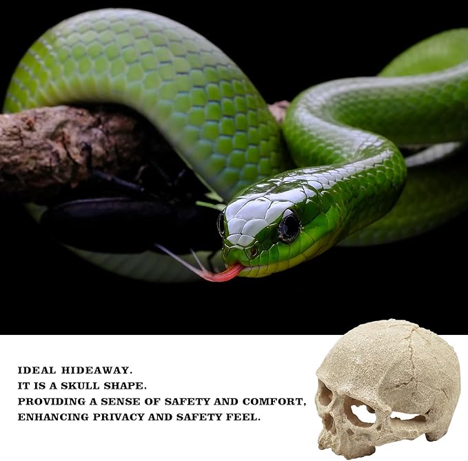 Snake Hideout, Reptile Aquarium Skull Decor, Resin Skeleton Head Fish Hide, Tank Terrarium Accessories, Reptile Hides and Caves for Fish Bearded Dragon Ball Python Leopard Gecko 4.7 × 3.5 × 3.7 Inch