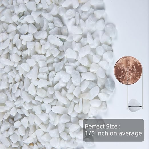 5lb Polished Aquarium Silica Gravel, Decorative Pebbles Substrate for Fish Tank, Vases, All Purpose Silica Gravel for Aquarium, Fire Pits, and Landscaping, Snow White(0.16-0.24”)