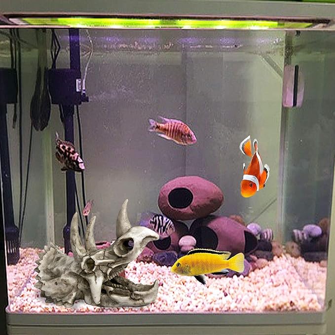 kathson Large Resin Dinosaur Triceratops Skull Décor Aquarium Decoration Reptiles Hideout Fish Tank Ornament Home Landscape Decor