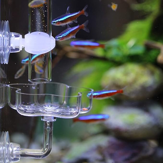 Aquarium Shrimp Small Fish Feeding Dish and Feeding Tube kit, Including Glass Feeder Tube Acrylic Feeder Dish and Holder, 3 Lengths Optional, 7.8 Inches, 11 Inches, 13.7 Inches (S-7.8 Inches)