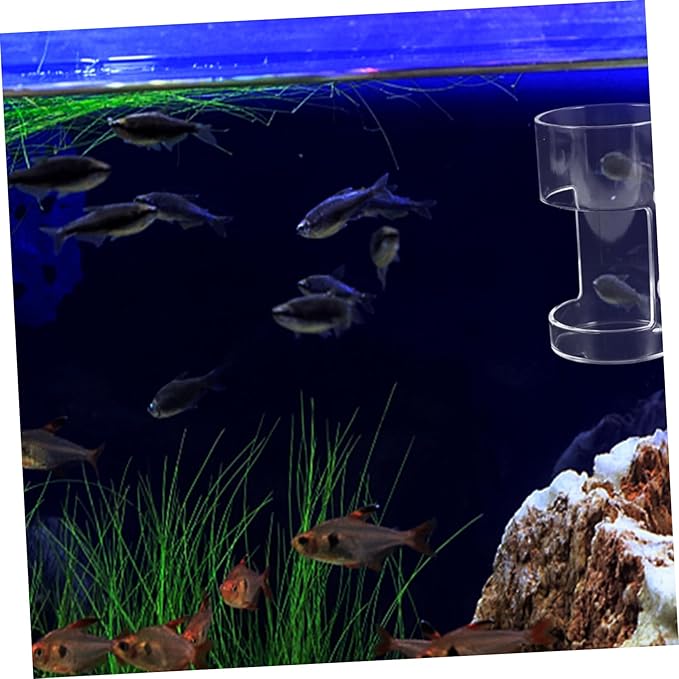 Fish Feeding for Aquariums Clear Floating Circle Cup Efficiently Distributes Food for Freshwater Tanks Fish Feeding Supplies