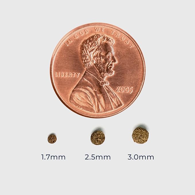 BenePellet Reef Food - Optimize Coral Color, Health & Nutrients, Shrimp, Inverts & Microorganism Feed, Designed for Autofeeders, 1.7mm Sinking Pellets - 38 Grams