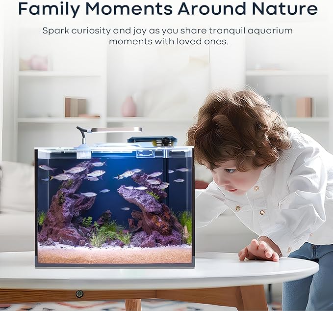 3 Gallon Small Fish Tank Glass Aquarium Set, Starter Kit with Heater Water Pump Cleaning Filter Bright Light Rocks Gravel Cleaning Tool, Leak-Proof Clear Rimless Desktop Spaces Saving Betta Fish