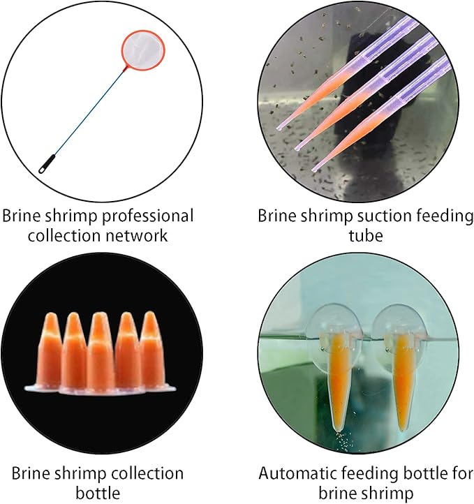 Brine Shrimp Hatchery Kits brines Shrimps Eggs Incubator Hatchery brine Shrimp Eggs Incubator Artemia Hatcherying with Silver air Pump