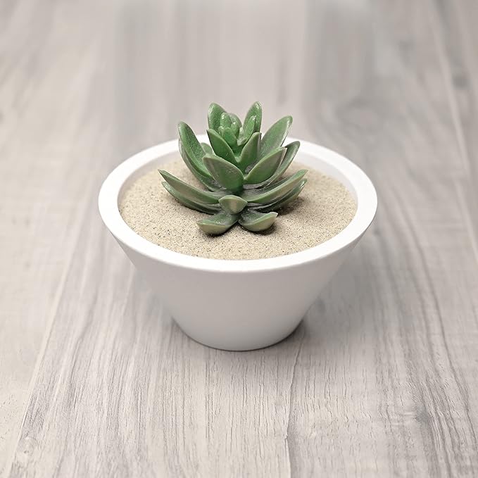 Royal Ram 1 Pound Natural Decorative Real Sand - for Interior Decor, Vase Filler, Sand Crafts, Aquariums, Terrariums, Gardening & More
