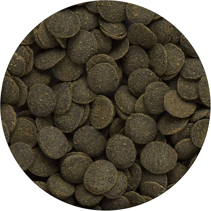Hikari Tropical Mini Algae Wafers Fish Food, 2.2 lb (1kg)