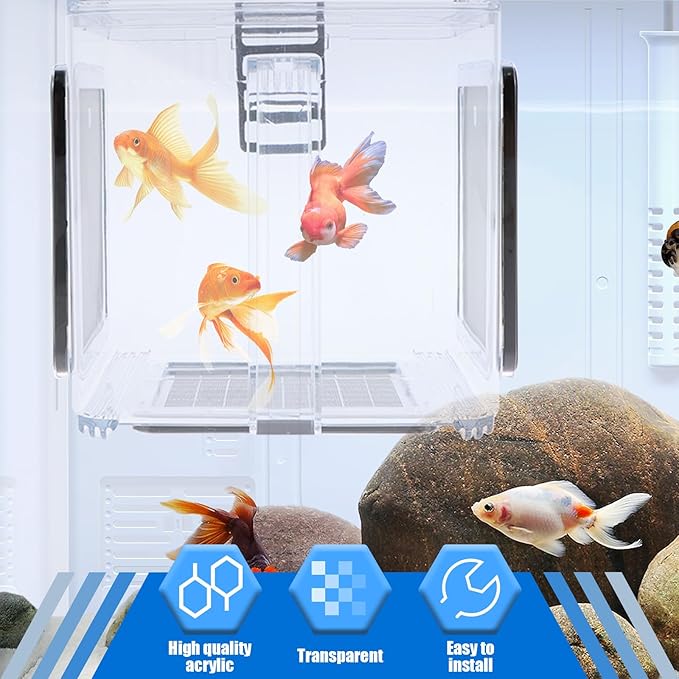 Fish Breeding Box 15x15x15 cm Acrylic Fish Isolation Hatchery Tank Fish Separator Hanging Fish Incubator Box with Detachable Mesh Lid Clear Fish Isolation Box for Baby Fish Newborn Fish Shrimp