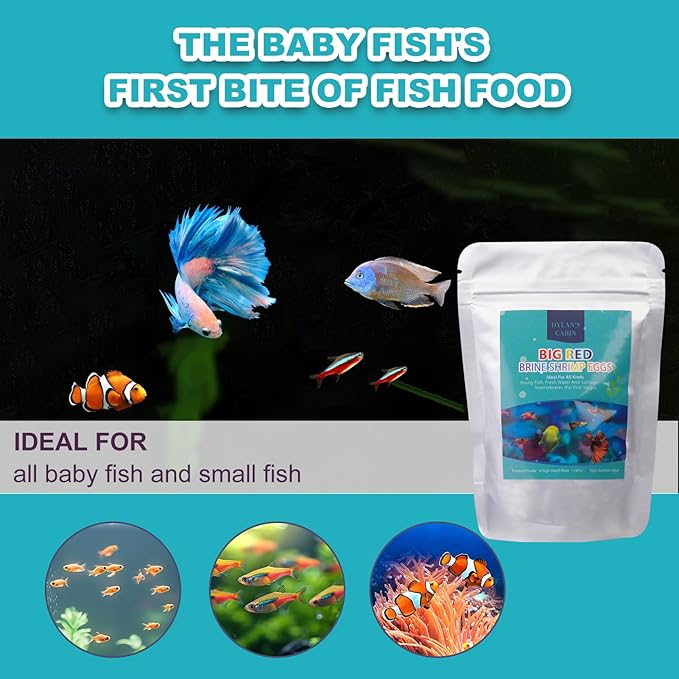 Dylan's cabin Brine Shrimp Eggs Fish Food - 90% Hatch Rate for Aquatic Foods Baby Aquarium Fish Freshwater Saltwater Marine Tank Hatchery Fry 40G