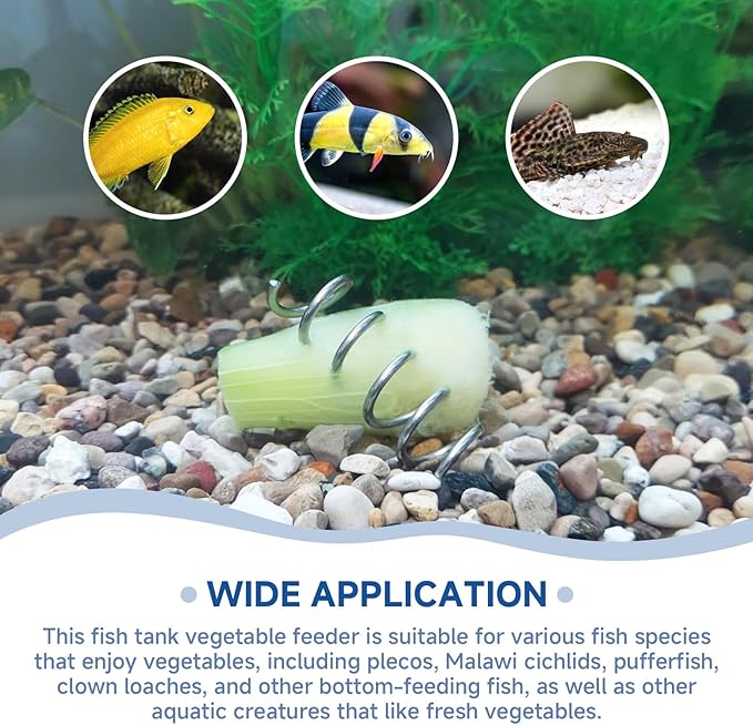 (2-Pack) Aquarium Vegetable Feeder, 304 Stainless Steel Sinking Vegetable Feeder Spring, Fish Tank Cucumber Holder for Pleco, Shrimp, Snails, Loaches and Other Bottom-Feeding Fish