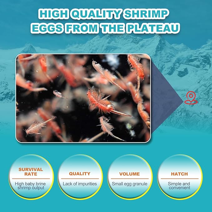 Dylan's cabin Brine Shrimp Eggs Fish Food - 90% Hatch Rate for Aquatic Foods Baby Aquarium Fish Freshwater Saltwater Marine Tank Hatchery Fry 20G