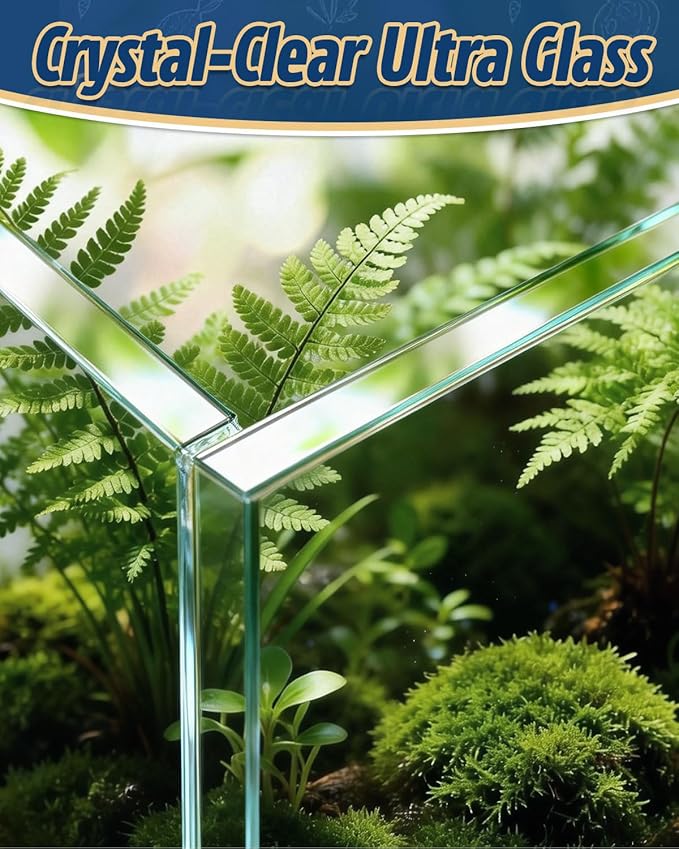5 Gallon Ultra Clear Glass Fish Tank, Easy to Maintain Small Aquarium for Betta, Goldfish, Shrimp, Snails and Aquatic Plants