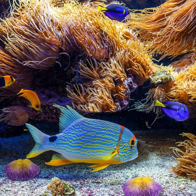 BESPORTBLE Simulation Coral Reef Aquarium Decoration Vibrant Violet Fish Tank Ornament Safe for Fresh Realistic Resin Craft Visual Appeal for Your Aquarium