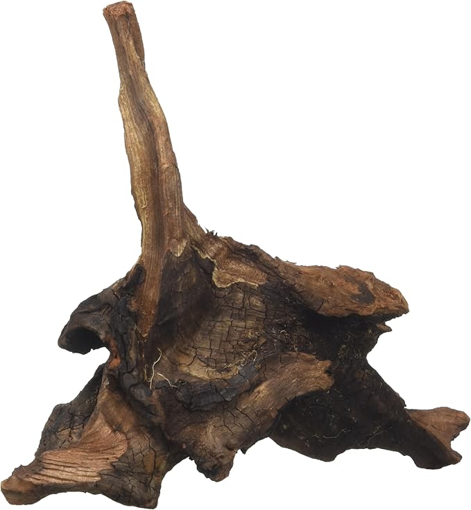 Amtra Mystic Wood, 15-20 cm