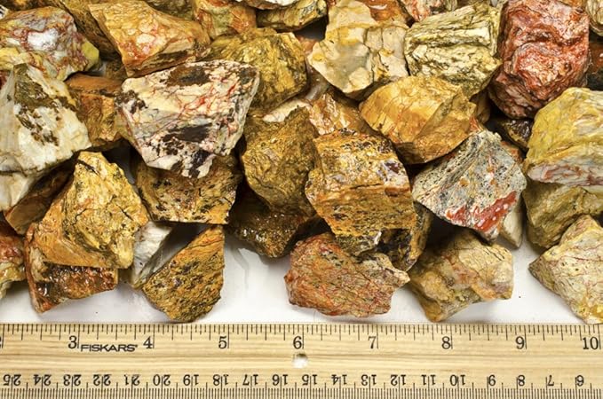 Fantasia Materials: 5 lbs Landscape Jasper Rough Stones from India