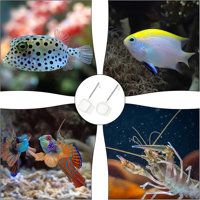 Aquarium Fish Nets, Fish Net for Tank, 2Pack White 3Inch Fine Mesh Aquarium Net Shrimp Nets with Extendable Stainless Steel Handle Small Tank Tool for Shrimp Bettas Square Round Debris