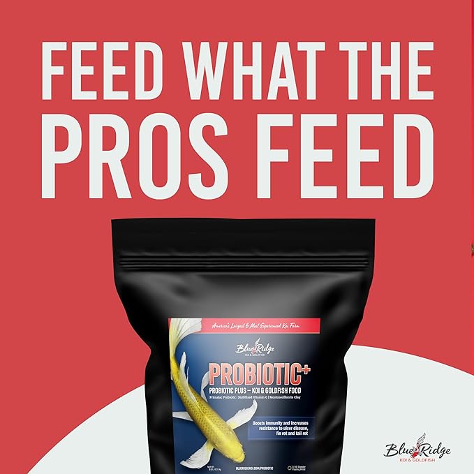 Blue Ridge Fish Food 5lb, Probiotic Plus 3/16" Floating Pellet, Koi Goldfish Food