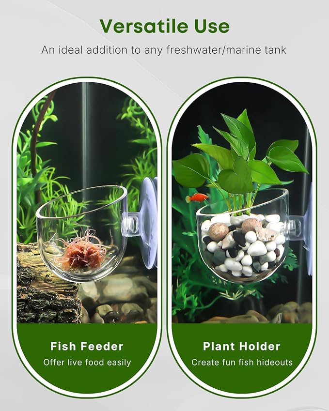 Pawfly Aquarium Plant Holder for Fish Tanks, Clear Plastic Fish Tank Plant Holder, Aquarium Planter Cup with Suction Cup, Fish Tank Plant Pot for Aquascape Decoration, Red Worm Fish Feeder