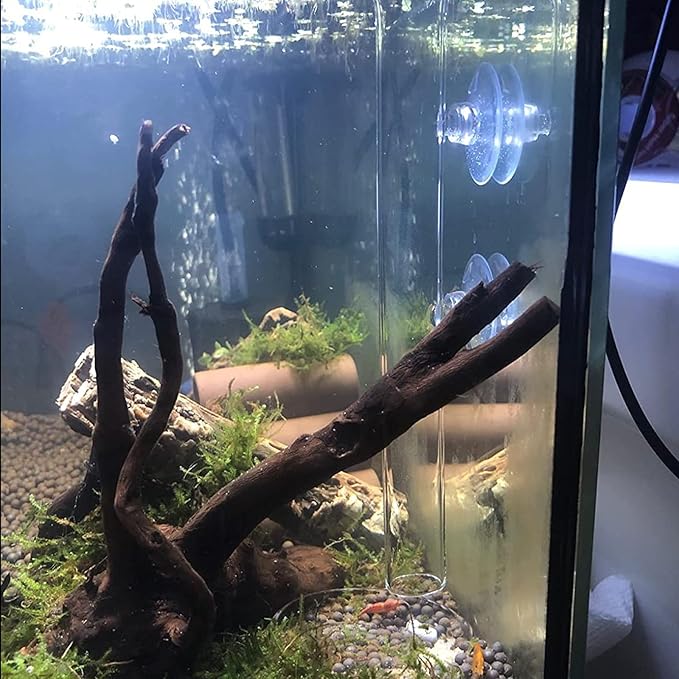 200MM Aquarium Shrimp Feeding Tube and Dish Tube Glass Fish Feeder Tube with Glass Bowl and Suction Cups for Fish Tank Aquarium Shrimp Fish Dish
