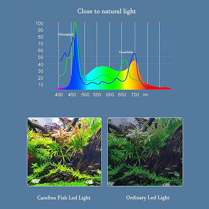 Carefree Fish Aquarium LED Light USB 5V1A RGBW 5730 Timmer 5~20Gal Fish Tank Clip Light 10 Brightness Levels 13W with USB Port (Include UL Certification Power Adapter)